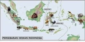 indonesia fauna map