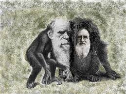 evolution