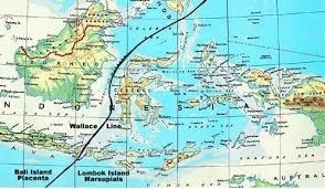 indonesia map