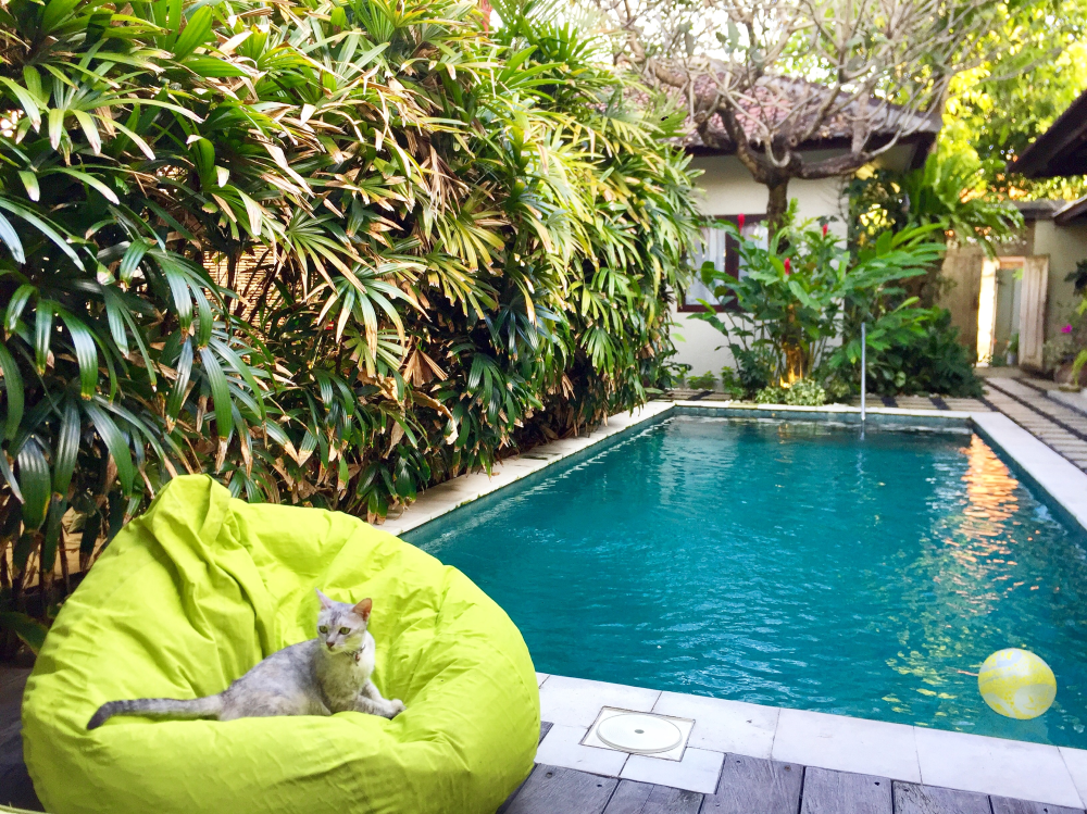 Home Feeling of Guest House